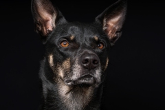 20241216-Portfolio-20241216-DSC06138-IR