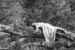 20250411-20250411-DSC02831-IR-2