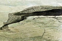 Mariëtte van Gool