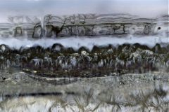 DSC_0372-BSL-DB-0815_bewerkt-1-1500px