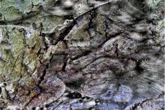 L1320713-B2_Waterschors_-PERF1500px