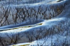 STORMMARK-DB-DSC_0488DCS0607-71500px