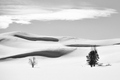 FGB-Website-Yellowstone-DSC_7150