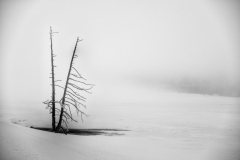 FGB-Website-Yellowstone-DSC_7164