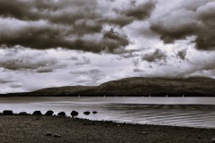 DSC02883-3