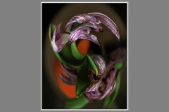 Tulpen_05_2023_23_vs2