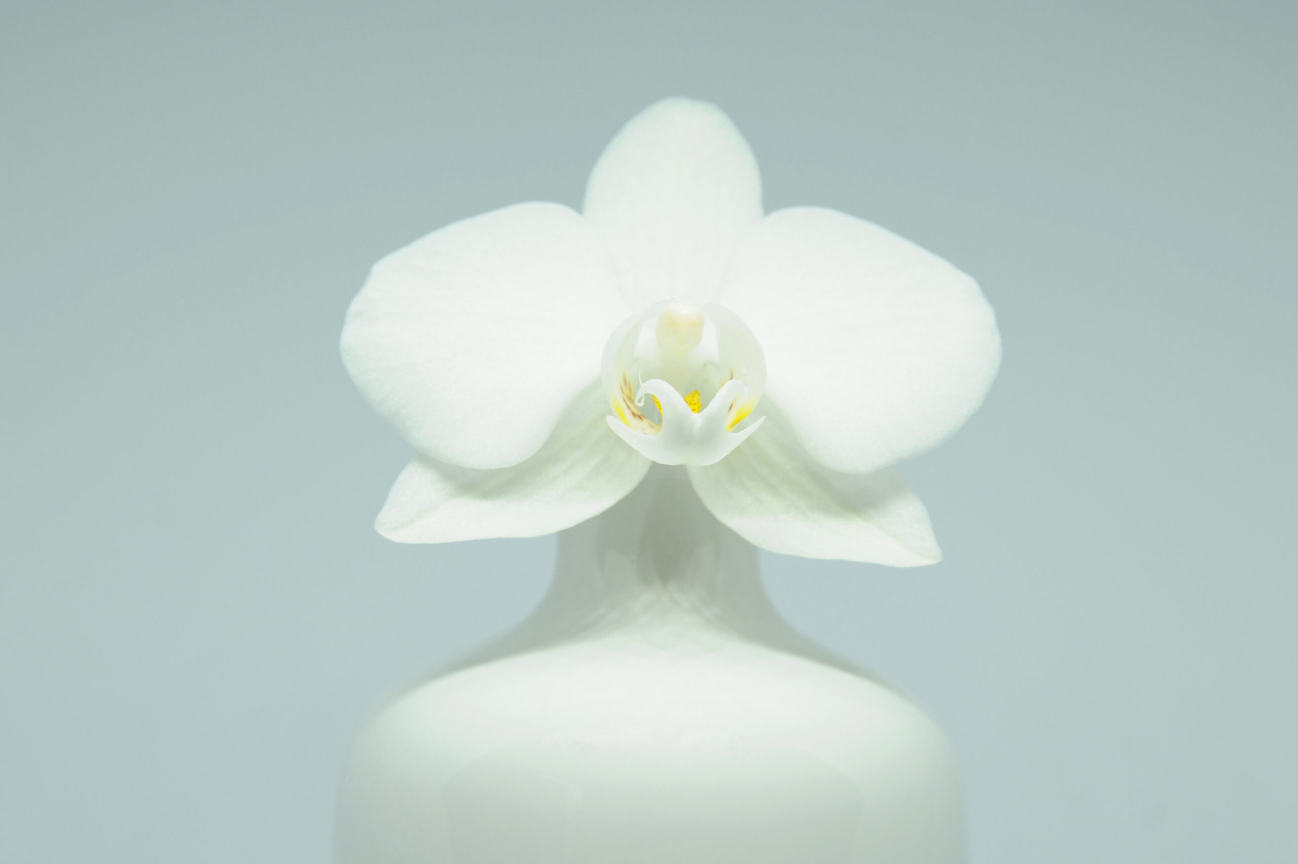 Marjolein-van-der-Pol